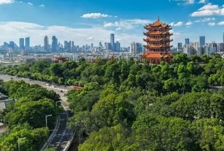 麻豆传媒全集资源-麻豆传媒的全集资源探索与数字化世界之桥