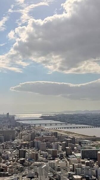 麻豆传媒视频资源下载-触网思考，麻豆传媒视频资源与网络平台的数字迷雾