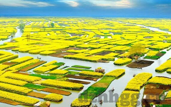麻豆视频破解版哪里可以下载-免费透析麻豆视频，一键下载破解版的大众指南