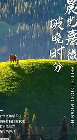 糖心vlog金善雅-糖心Vlog，金善雅的多元化短视频之旅