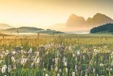 亚洲av无码一区二区乱子伦-亚洲文化多样性的独特视角，探索一区二区的文化交流与融合