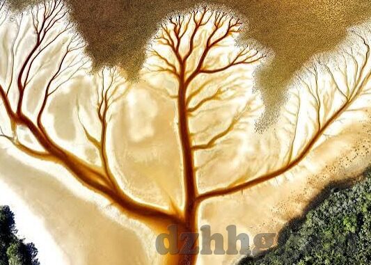 亚洲视频成人免费-亚洲影视文化探索，多元视角下的成人内容欣赏与文化理解